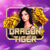 Dragon Tiger windream ph live casino